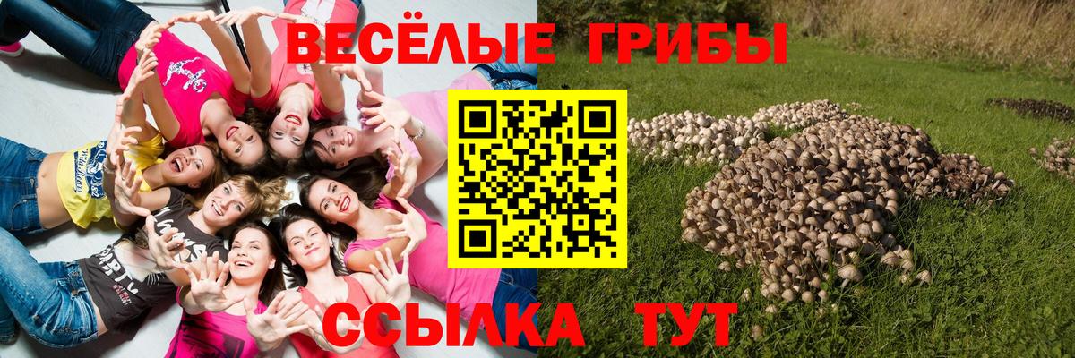 Галлюциногенные грибы Psilocybe Нижнеудинск
